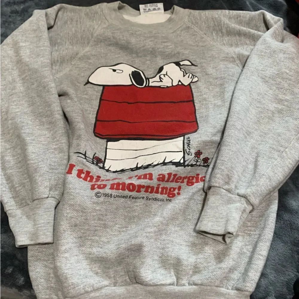 Vintage snoopy peanuts Charlie Brown